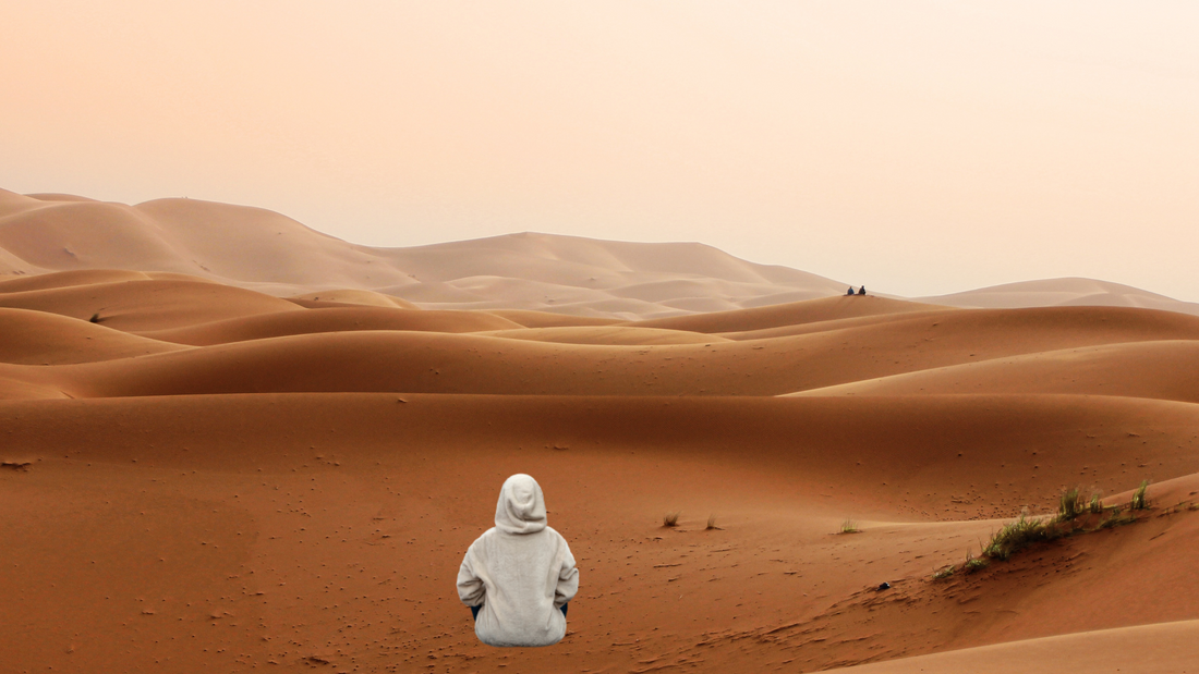 Exploration de l'Afrique : histoires et aventures