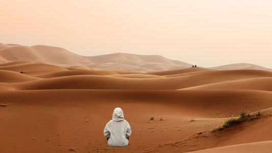 Exploration de l'Afrique : histoires et aventures